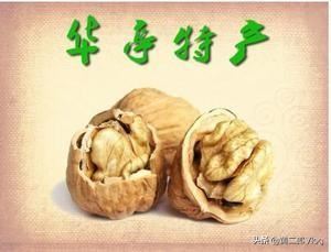 甘肃特产有哪些值得带走？