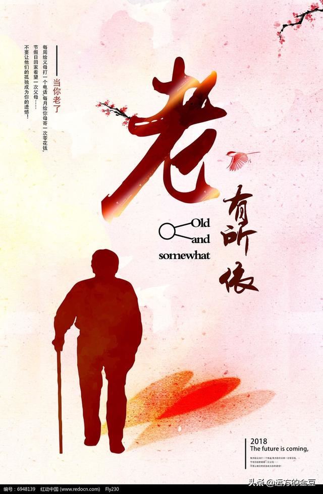 看望老人适合买点什么？好吃又健康的那种！请推荐一下？