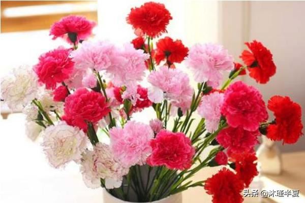 母亲节送点什么给妈妈好？