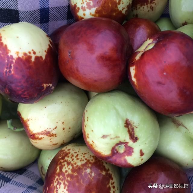 甘肃特产有哪些值得带走？