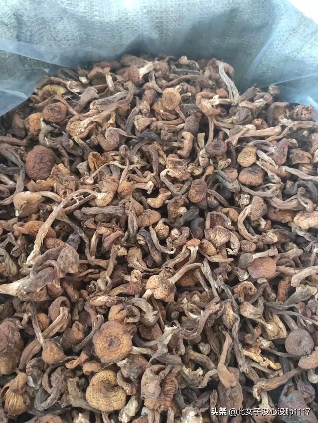 东北特产什么？