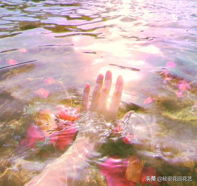 世界上最珍贵的礼物是什么呢？