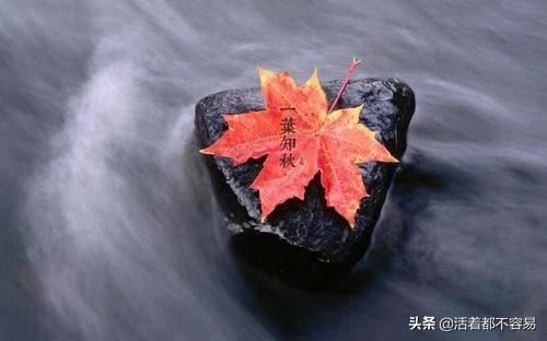 想给40岁女领导送礼，请问送什么好，送茶叶好吗？