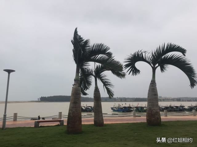 去海南旅游应该必备哪些东西啊？