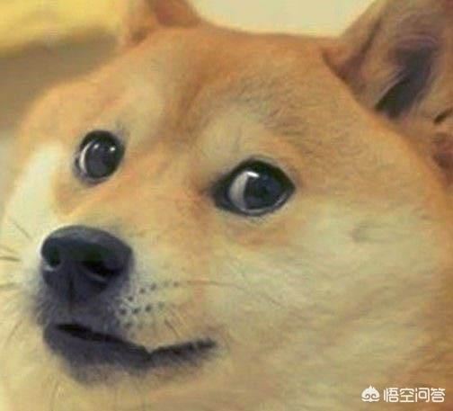 军训后，我们集体给教官送礼物，送什么比较好？