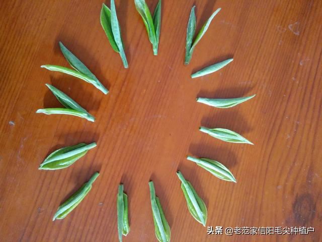 想给领导送礼，什么茶比较好，上档次，什么价位，什么牌子，谢谢？