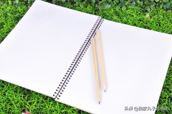 选择美术生喜欢的礼物？