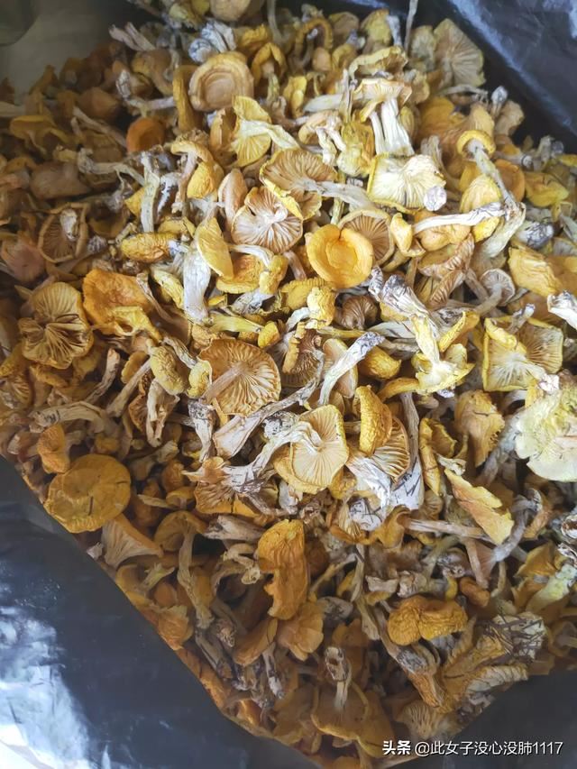 东北特产什么？