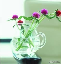 女性长辈60岁生日礼物，给长辈送什么礼物比较好？