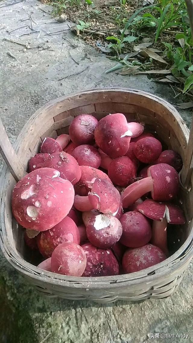 广西有哪些特产是值得带的？