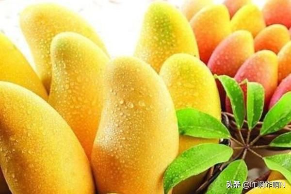 母亲节可以送给妈妈什么礼物？