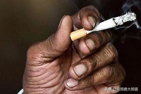 父亲节给公公送什么好？