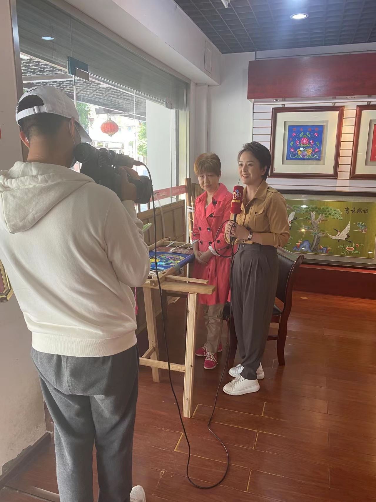 揪揪的近义词？