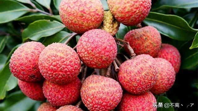 回答广州特产购物必买清单？