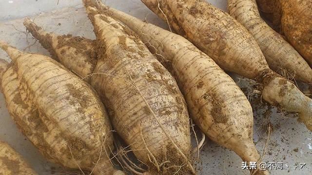 回答广州特产购物必买清单?