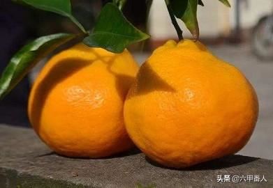 潮州的春节习俗？