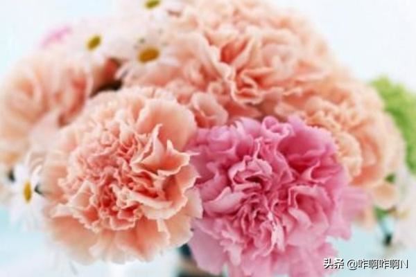 母亲节可以送给妈妈什么礼物？