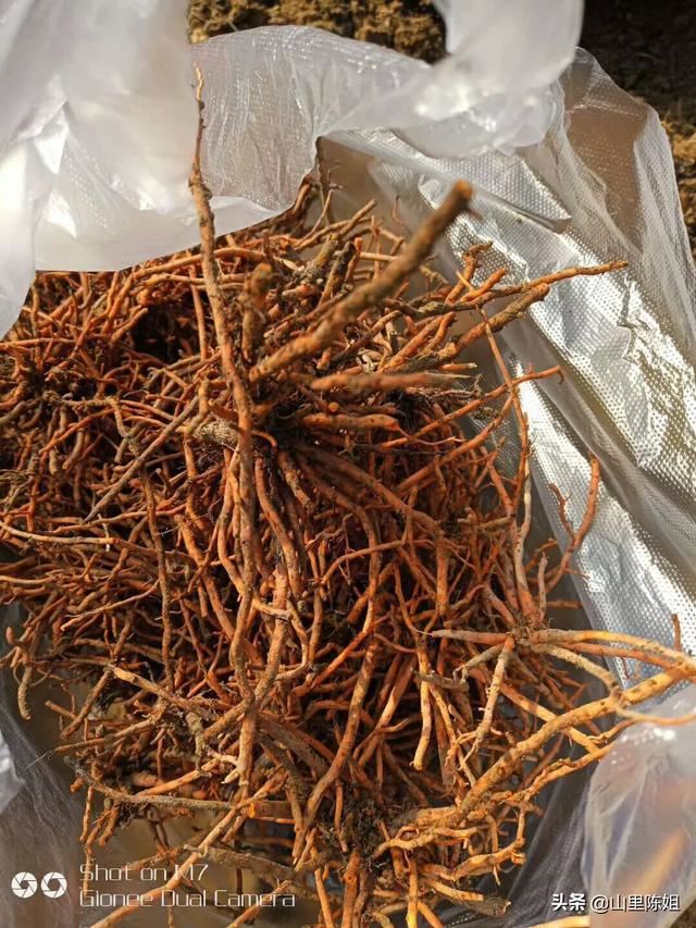 不知道买什么好?我想买点有特色的农产品送人？