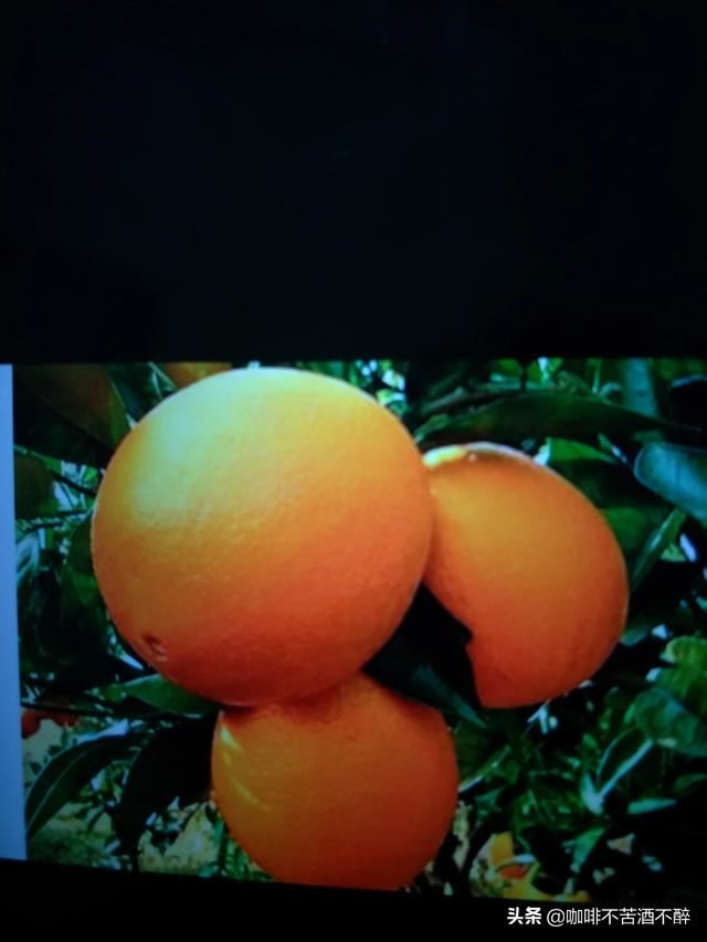 赣州有哪些特色产业？