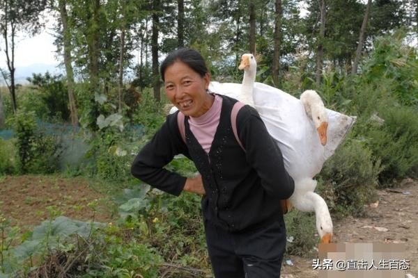 过年回娘家带些什么礼物？
