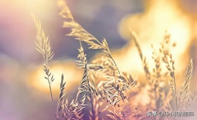 请问给老年人买什么生日礼物好？
