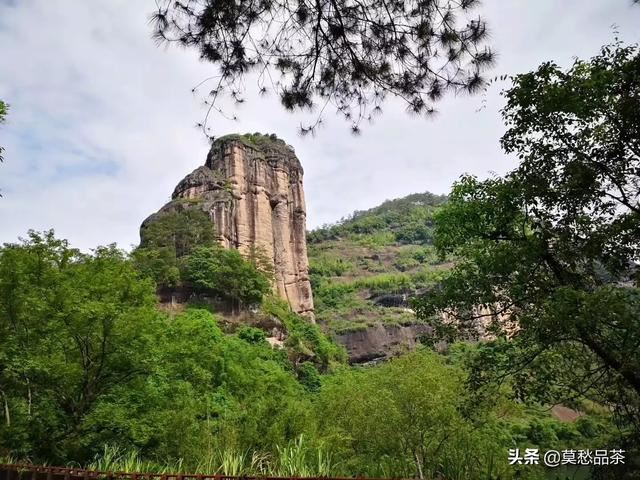 回答给领导送礼送什么茶叶比较好？