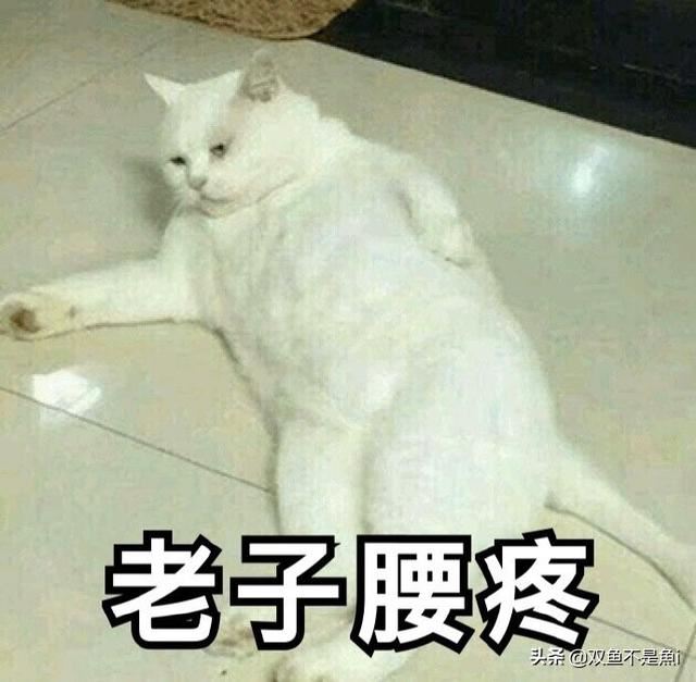 男朋友总是腰疼要送什么礼物？
