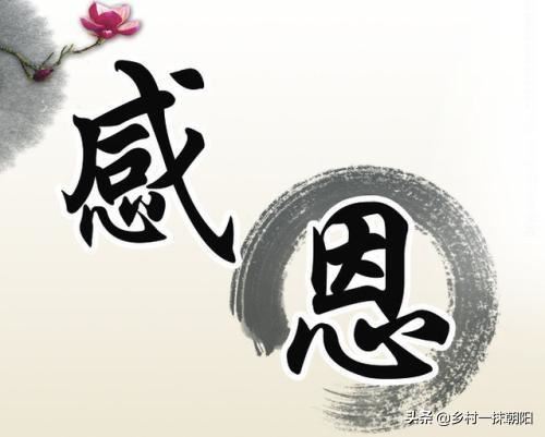 回答报恩的最好方法是什么？