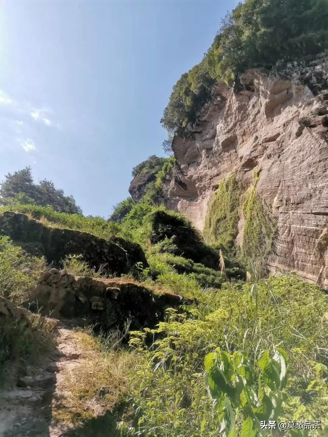 回答给领导送礼送什么茶叶比较好？