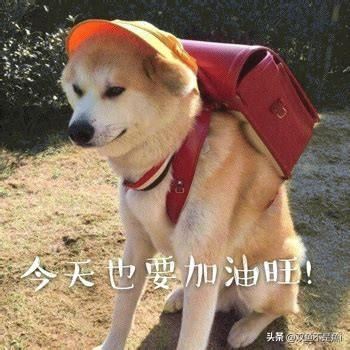男朋友总是腰疼要送什么礼物？