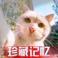 世界上有哪些著名的金币？