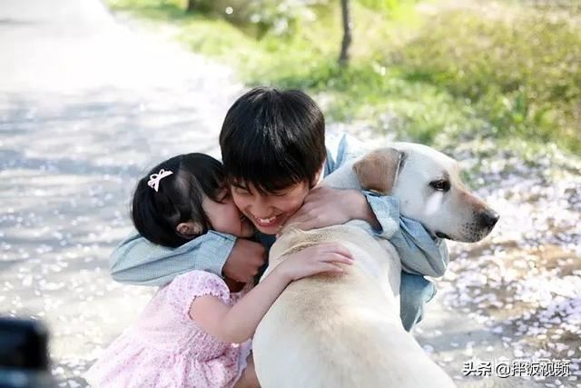 请问有什么电视剧或电影很感人的可以哭得稀里哗啦的？