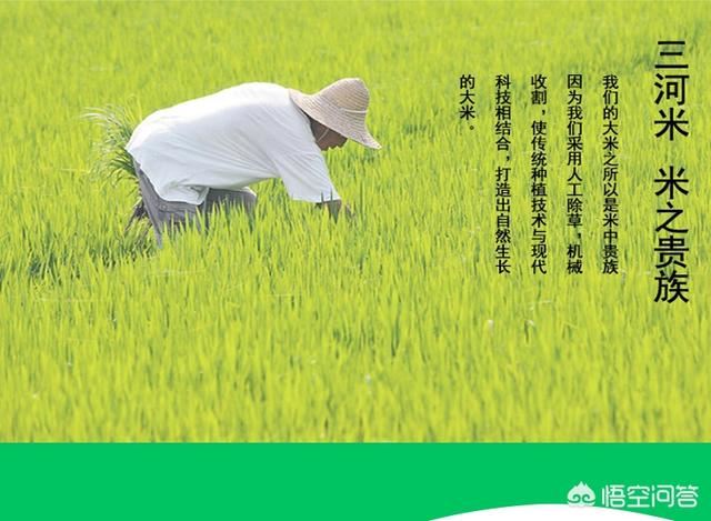 合肥四大特产有哪些？在哪能买到？