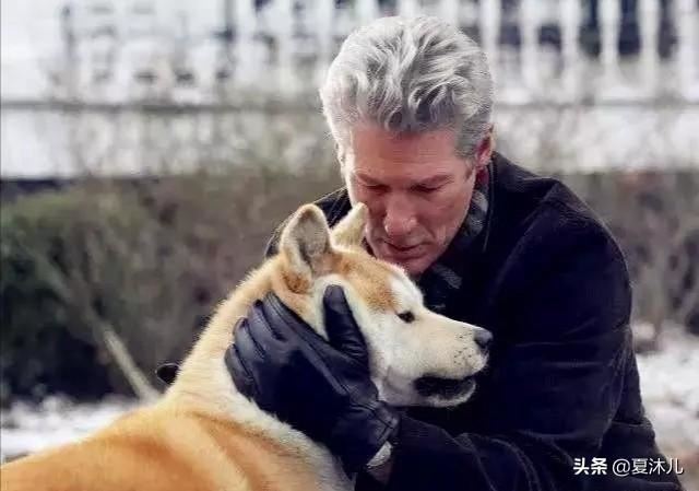 请问有什么电视剧或电影很感人的可以哭得稀里哗啦的？