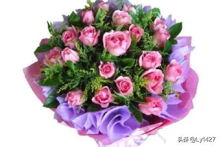 教师节适宜送什么花？