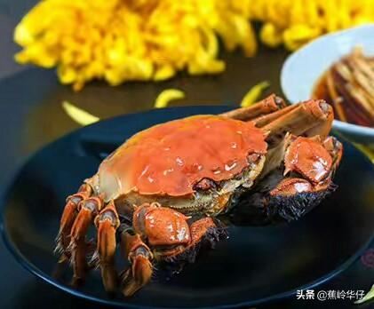 合肥四大特产有哪些？在哪能买到？