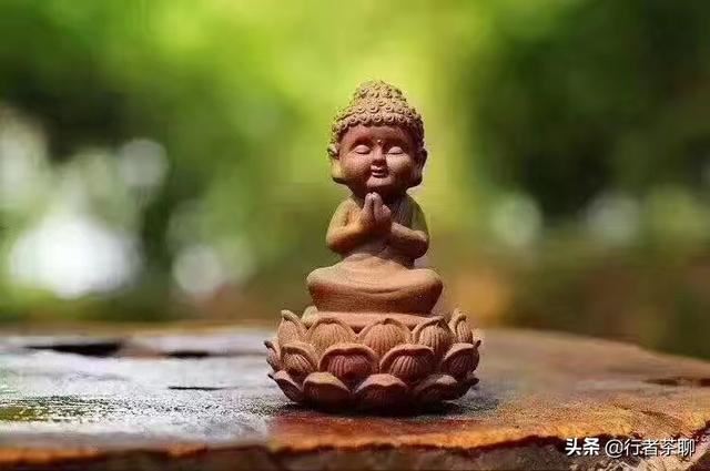 给七八十岁老人送茶叶，应该选用什么品种的茶叶？