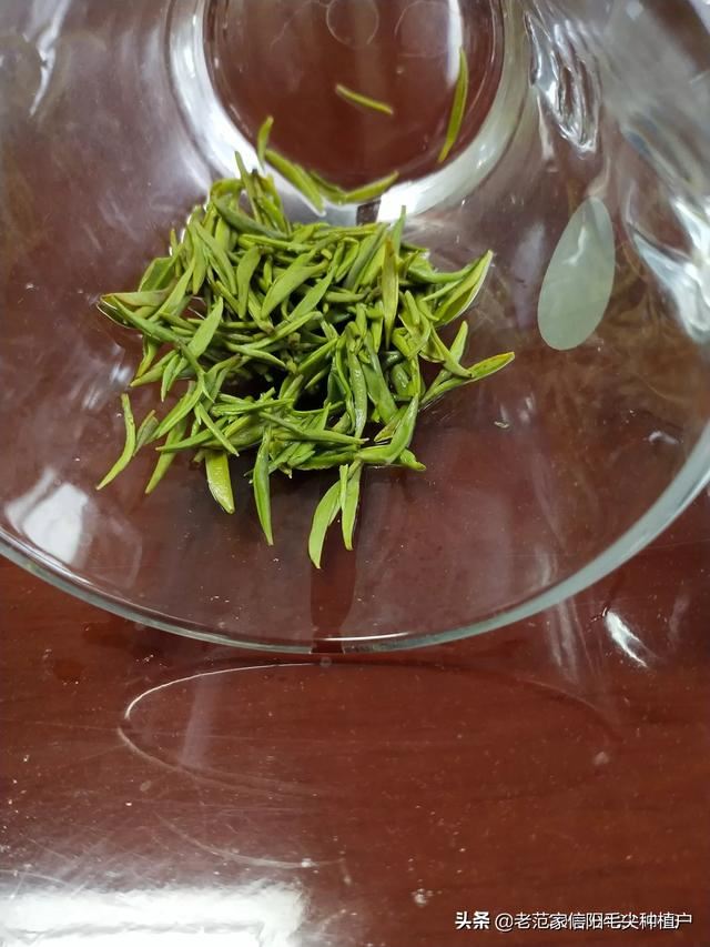 什么茶叶最受欢迎？