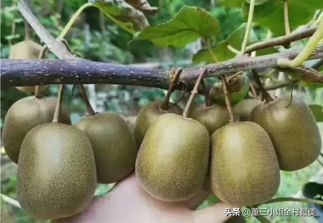不收学生家长送礼的老师比较傻吗？
