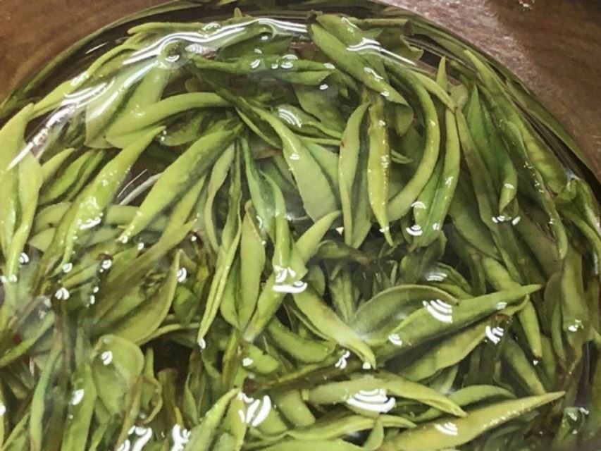 什么茶叶最受欢迎？