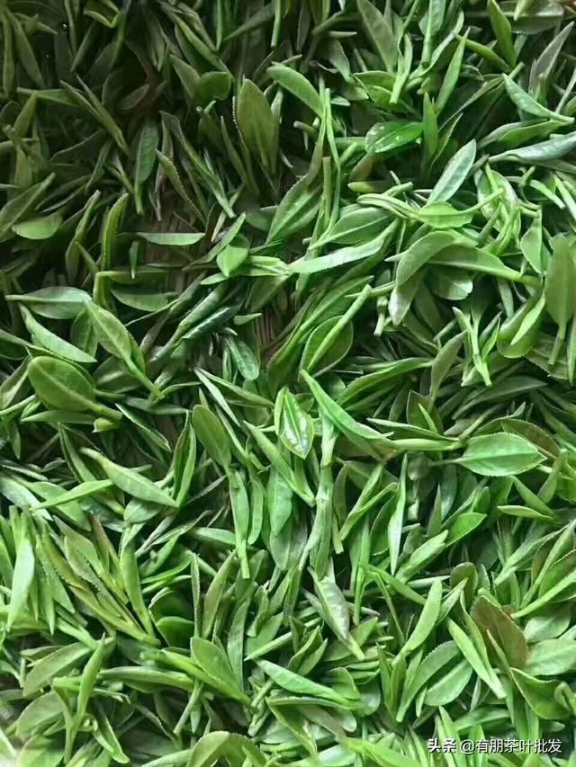 买茶叶送客户哪种比较好？