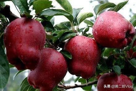 去甘肃给同学带东西，推荐一下带什么？