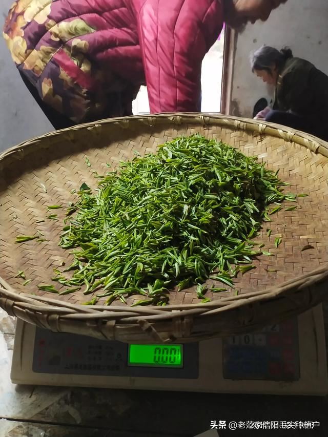 请问淘宝哪家茶叶店比较放心可信、我想买点茶叶？
