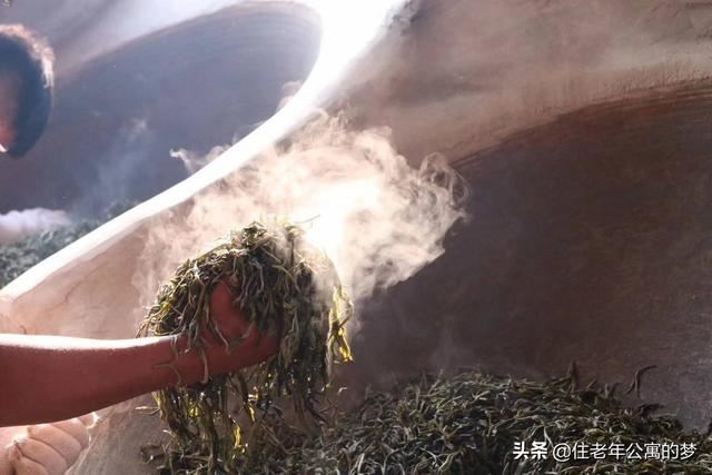 什么茶叶最受欢迎？