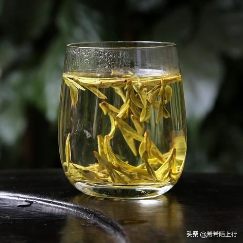 什么茶叶最受欢迎？