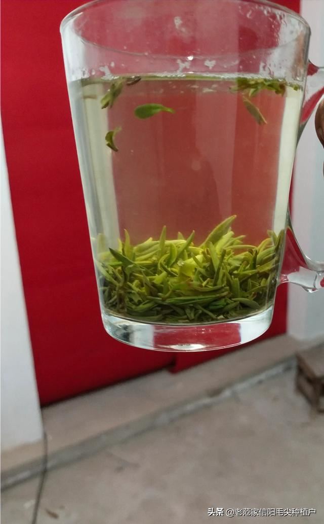 什么茶叶最受欢迎？