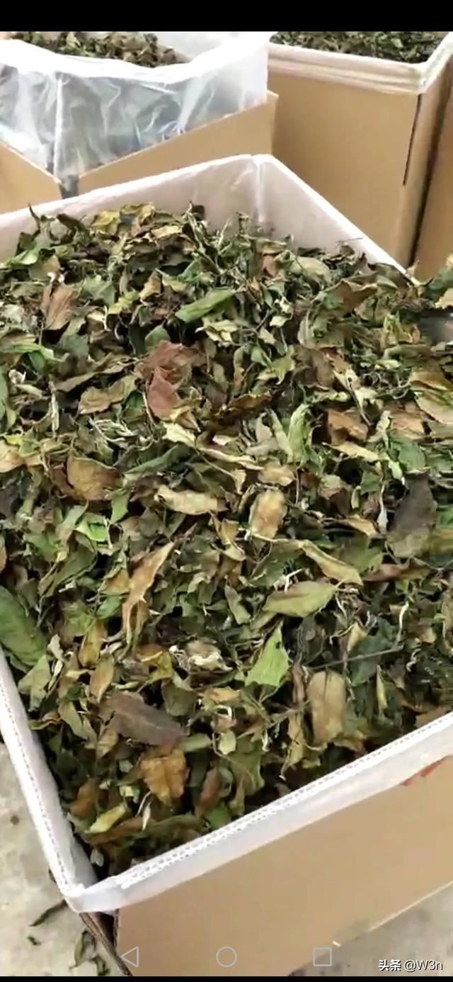 请问淘宝哪家茶叶店比较放心可信、我想买点茶叶？