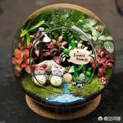 学美术的朋友考上了大学可以给他送什么？