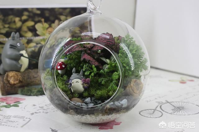 有什么比较有创意的礼品？