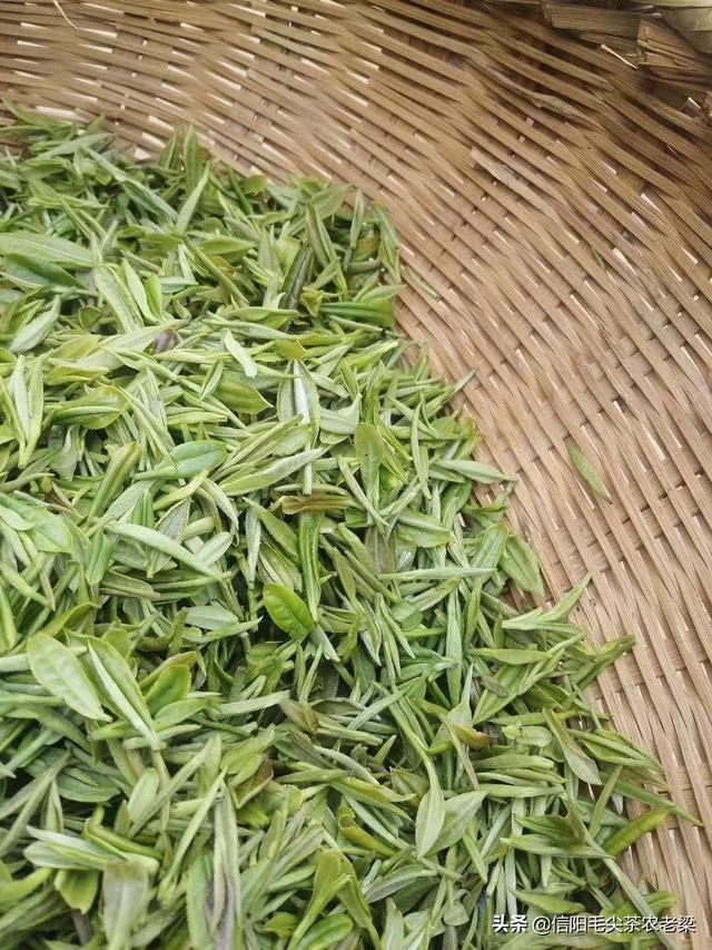 大学毕业想送老师个茶叶，送什么品种的茶好呢？